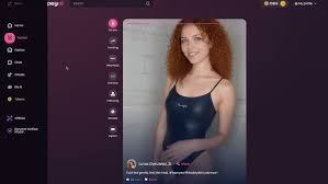 Is Swipey AI Free Exploring Its Pricing and Features